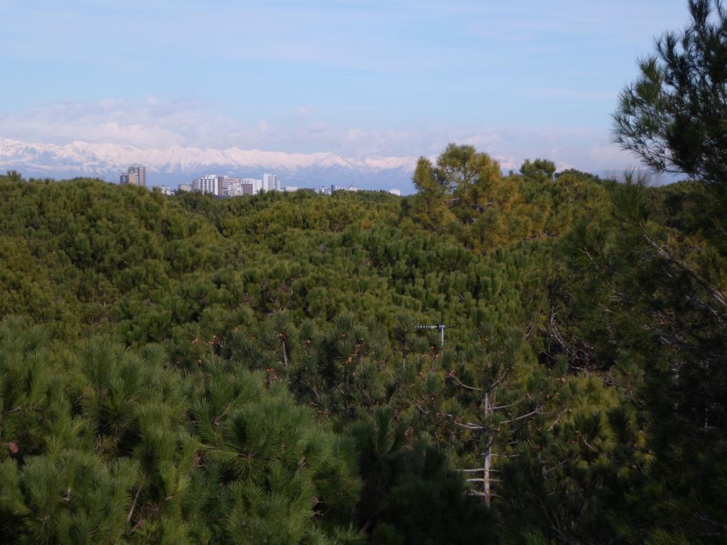 Residence Gardenia Lignano Sabbiadoro Bagian luar foto